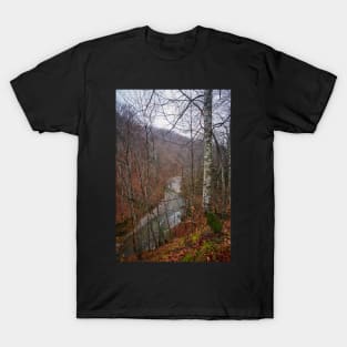 River in the mountains T-Shirt